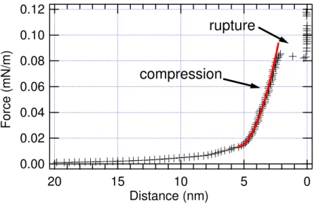 Fig. 3.5  Compression de deux bicouches de tensioactif adsorbé sur surfaces de silice