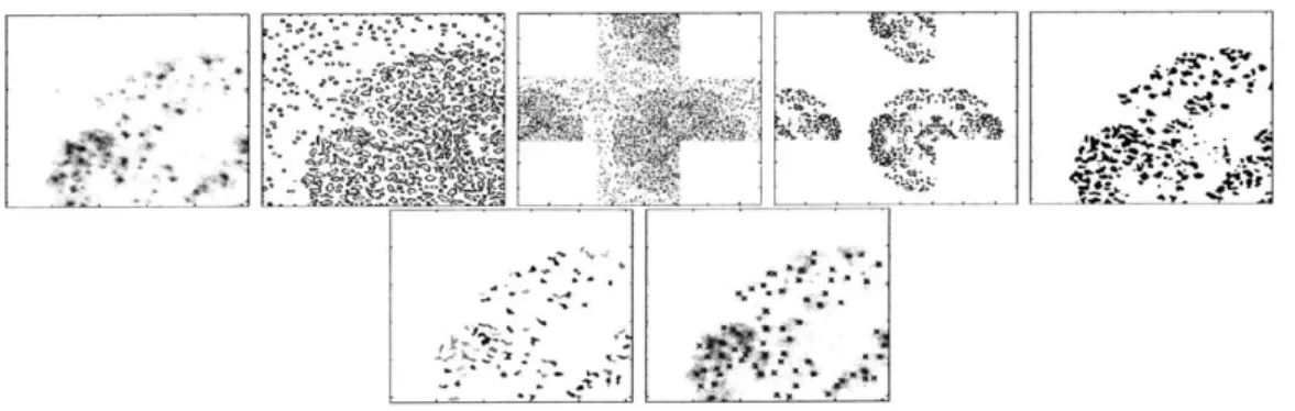 Figure  3-5:  Segmentation  by  Laplacians.