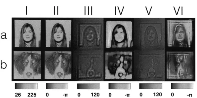 Figure  5-15:  Failure  cases  on networks  trained on  Faces-LFW  (row a)  and  ImageNet (row  b)  datasets