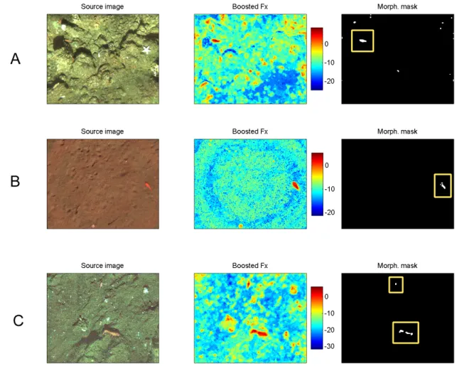 Figure 2-15: Boosting using HSV-based color and structure features selected for rock…sh.