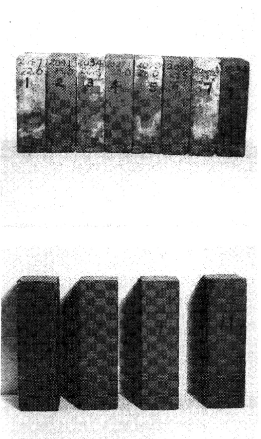 Figure  i  Efflorescence test on  bricks  N o s .   5  and  '7, 