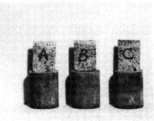 Figure  2  EffEoseacenee  on  wicks  embedded  in mortar. 