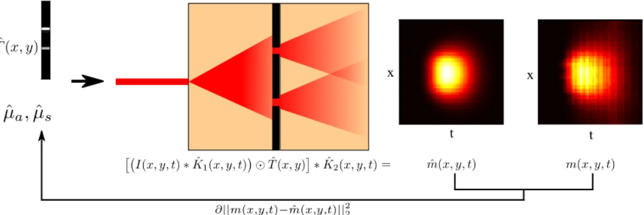 Figure 2-3: An overview of the forward model and reconstruction. The forward model is represented as a sequence of 3D convolution with a blur kernel 