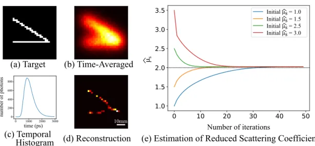 Figure 2-4: Reconstruction of a 2D target within a scattering medium and the optical properties of the phantom