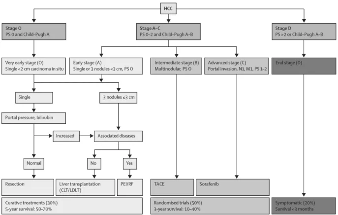 Figure I.1.2: Barcelona Clinic Liver Cancer staging and treatment approach. Figure reproduced from (32) with  permission