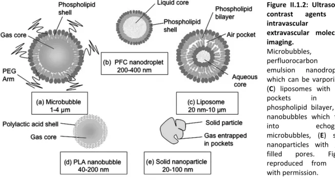 Figure II.1.2: Ultrasound  contrast agents for  intravascular and  extravascular molecular  imaging