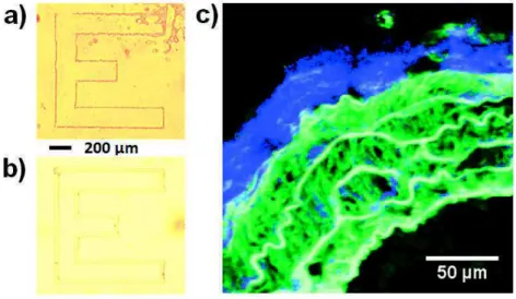 Figure 1 – Microscopie optique non linéaire développée dans notre équipe : (a) photopolymérisa- photopolymérisa-tion biphotonique comparée à (b) une photopolymérisaphotopolymérisa-tion à un photon obtenue en microscopie optique linéaire [27,28], (c) image 