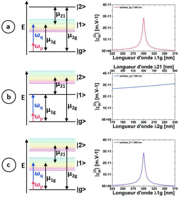 Figure 1.7 – Norme des éléments χ (2) ijk pour un système (gaz dilué de molécules identiquement orientées) à trois niveaux |gi, |1i, |2i initialement dans l’état fondamental : en fonction (a) de λ 1g pour λ 2g ﬁxé à 200 nm, (b) de λ 2g pour λ 1g ﬁxé à 300 