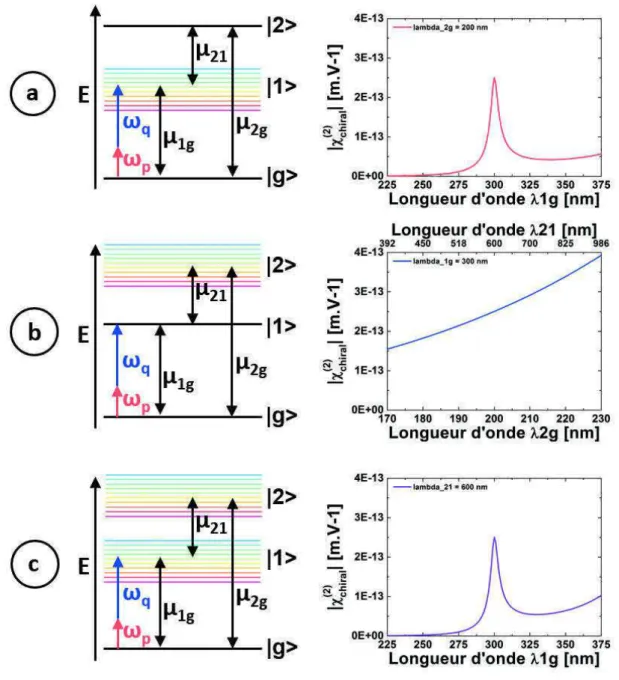 Figure 1.9 – Norme de l’élément χ (2) chiral pour un système (gaz dilué de molécules orientées de manière isotrope) à trois niveaux |gi, |1i, |2i initialement dans l’état fondamental : en fonction (a) de λ 1g pour λ 2g ﬁxé à 200 nm, (b) de λ 2g pour λ 1g ﬁ