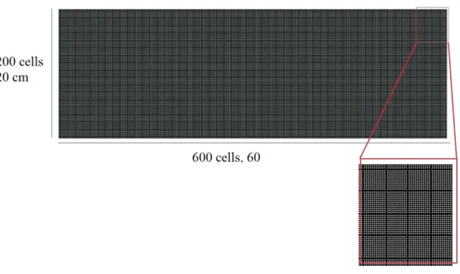 Fig. II.7  Maillage du modèle géométrique 