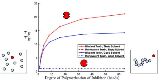 Figure 3-2: Average time interval a monovalent or divalent target are bound to polymeric inhibitors of various lengths, normalized by the average time bound for a monovalent target, ⌧ B0 
