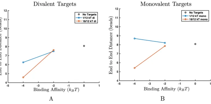 Figure 3-10: End to end distance for 64-mer polymers in theta solvent in the presence of divalent targets (A) and monovalent targets (B)