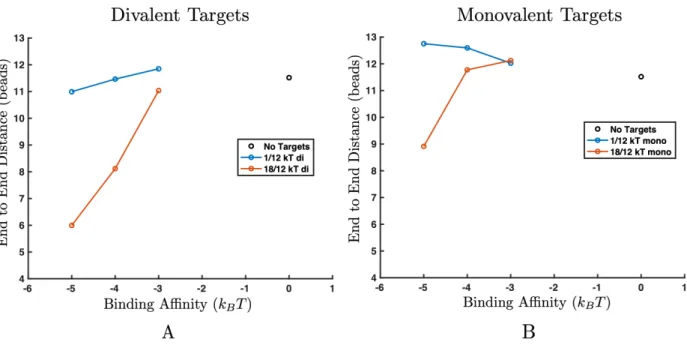 Figure 3-14: End to end distance for 64-mer polymers in good solvent in the presence of divalent targets (A) and monovalent targets (B)