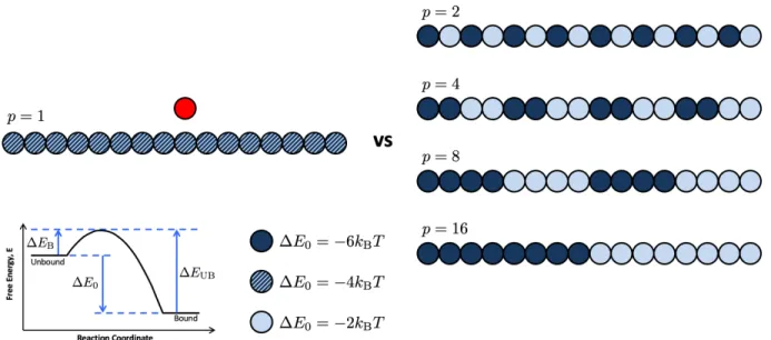 Figure 4-3: Schematic of the polymer patterns tested when exploring binding of a target (red) to homopolymers and copolymers (blues)