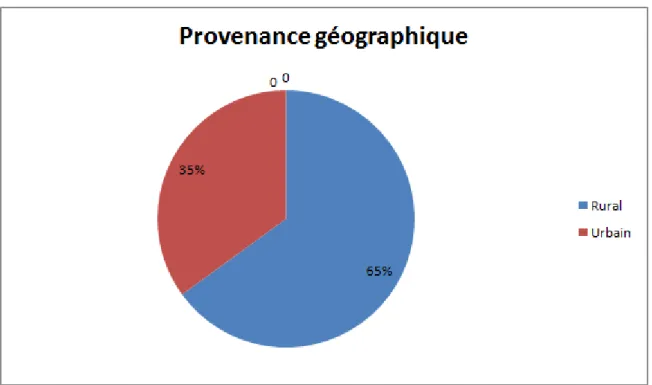 Figure 2 : Répartition des patients selon la provenance géographique. 