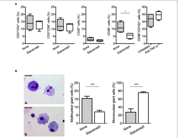 FIGURE 2 | Etanercept affects granuloma-associated macrophage populations and MGCs. Isolated granuloma cells cultured in the presence or not of etanercept for 9 days were characterized using flow cytometry