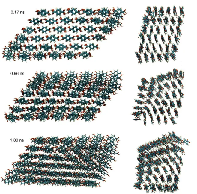 Figure  2-6.  Snapshots from the b-axis and a-axis view  along the initial trajectory  for the 216  molecule  system