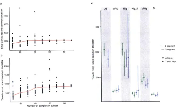 Figure  3-2:  (A,B)  To  test  whether  the  estimates  are  dependent  on  the  exact  set  of samples,  we  performed  molecular  dating  on  random  subsets  of  size  n  (for  n  =10 to  90),  with  20  random  samples  chosen  for  each  subset  size
