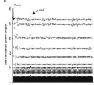 Figure  3-3:  (A,  B)  Each  of  the  95  sequences  in  the  dataset  were  removed  from  the alignment,  and a  molecular  dating analysis  was  performed  for  (A)  the  L  segment  and (B)  the  S  segment