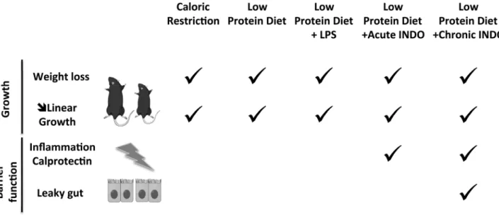 Figure 7.  Undernutrition leads to growth failure and is often associated to environmental enteric dysfunction  (EED)