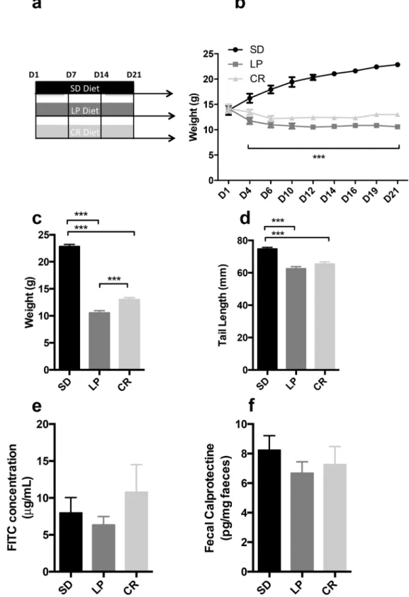 Figure 1.  Growth, intestinal inflammation and permeability assessment in C57BL/6 mice fed a low protein, calorie restrictive  or isocaloric standard diet