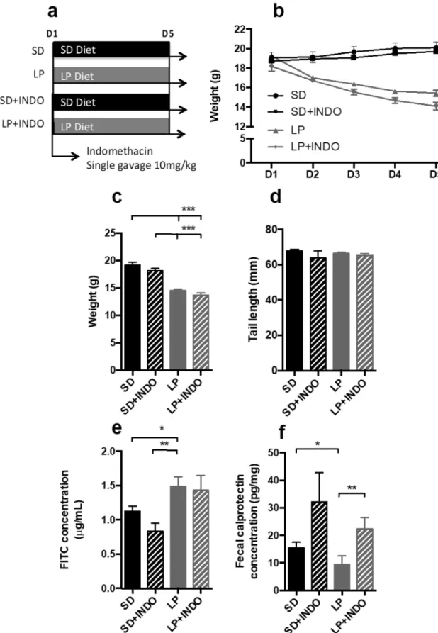 Figure 3.  Growth, intestinal inflammation and permeability assessment in C57BL/6 mice fed a low protein combination with a  single indomethacin gavage