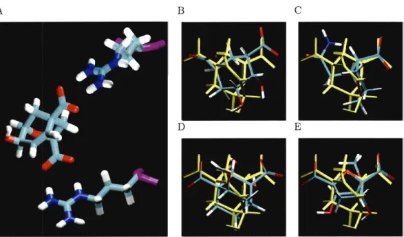 Figure  2-8:  Results of  exploring the  space of  small  molecules  compatible with  bind-  ing  the  E