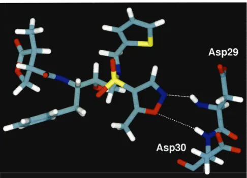Figure  3-4:  Predicted  interactions  for  isoxazole  rings  designed  at  the  R3 position
