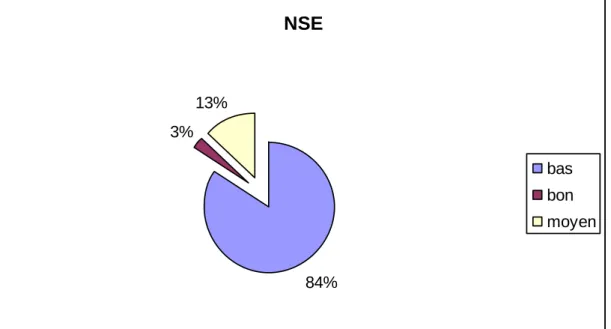 Figure 4 : Le niveau socio-économique des patients NSE84%3%13% bas bon moyen