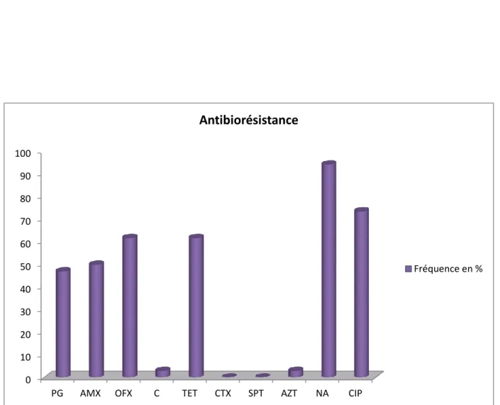 Figure 6 : Antibiorésistance de N gonorrhoeae. 