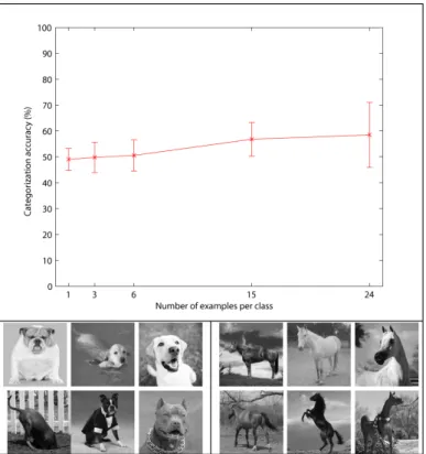 Figure 2: Images of dogs and horses, in the wild, with arbitrary viewpoints (and clutter, eg background).The performance of a regularized least squares classifier (linear kernel, as in the next figure) is around chance