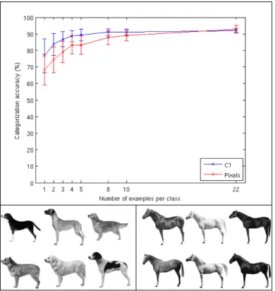 Figure 3: Images of dogs and horses, ’normalized’ with respect to image transformations