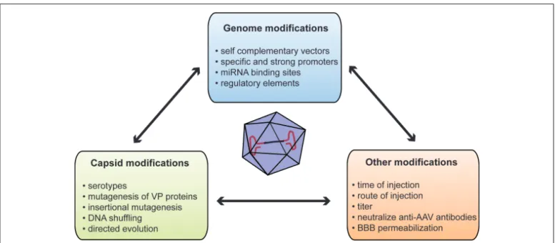 FIGURE 1 | Summary of methods used to improve gene delivery after systemic injection of AAVs