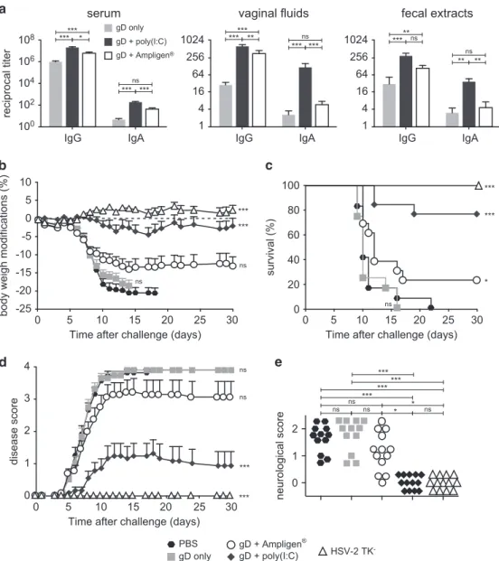 Figure 6. ID vaccination with HSV-2 gD glycoprotein with Poly(I:C) induces mucosal and systemic immunity and protects from lethal vaginal HSV-2 infection