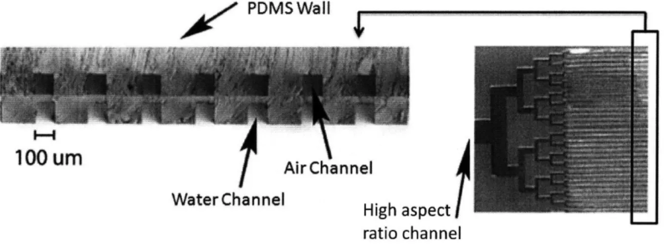 Fig.  1.7a:  Cross-sectional view of manufactured  b) Top view of the same device soft lithography device