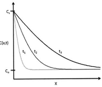 Fig.  2.3: The solution to a constant flux diffusion problem  is plotted for  t 3 &gt; t 2  &gt;  t l 1