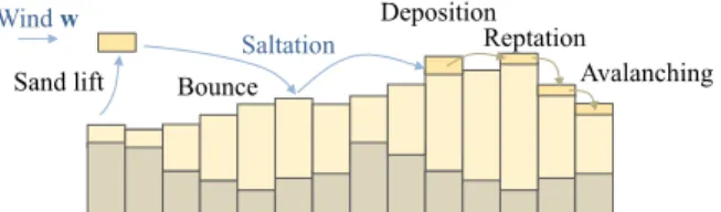 Figure 8: Vegetation limits sand particles lifting during saltation, decreases the probability of bouncing, and prevents avalanching and reptation.