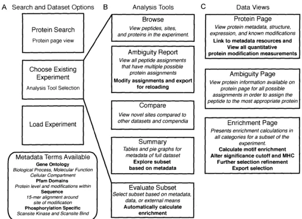 Figure  3-1:  A  depiction  of  the  major  features,  analysis  tools,  and  page  view  types available  in PTMScout