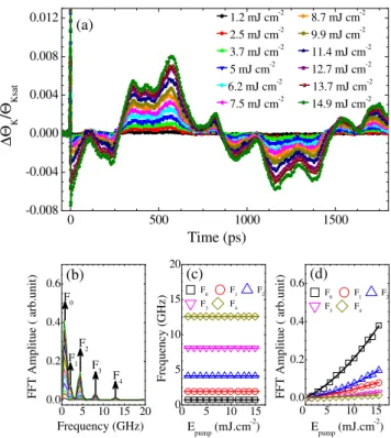 FIG. 3. Pump energy density dependence of the spin dynamics.