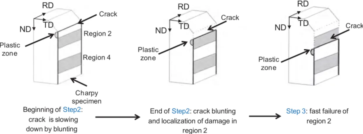 Fig. 16. Schematic of the propagation of the crack through a region with macrozones (gray regions represent those with macrozones).