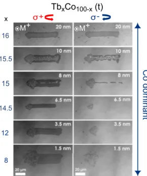 FIG. 1. Faraday imaging of Tb x Co 100-x (t) alloy films for Tb concentration x ranging from 8 to 16 and alloy thickness varying from 1.5 to 20 nm