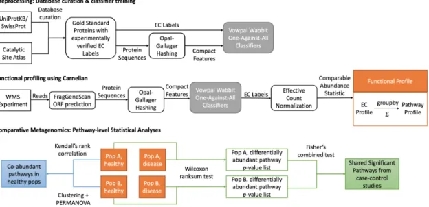 Figure 3-1: Comparative functional metagenomics with Carnelian. Prepro- Prepro-cessing