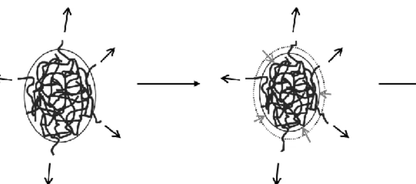 Figure 9: Schematic representation of P(VDF-TrFE) behavior in two solvents. 