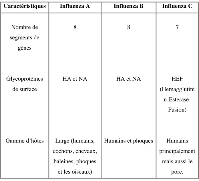 Tableau  1 :  Comparaison  entre  les  différentes  classes  des  virus  influenza (Virus Influenza A, B et C) [7]