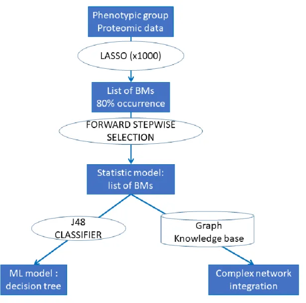 Figure 1. Summary of the analyses performed for each phenotypic group 