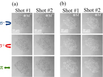 FIG. 4. (a) and (b) Time evolution of the anomalous Hall voltage of a 5-μm-wide Pt (4.5 nm)/Co (0.6 nm)/Pt (4.5 nm) Hall cross initially saturated up, under the action of a 35-fs laser beam with a 5 kHz repetition rate and a fluence of 10 mJ/cm 2 