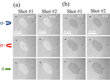 FIG. 5. (a) and (b) Time evolution of the anomalous Hall voltage of a 5-μm-wide Pt (4.5 nm)/Co (0.6 nm)/Pt (4.5 nm) Hall cross initially saturated up, under the action of a 35-fs laser beam with a 5 kHz repetition rate and a laser fluence of 10 mJ/cm 2 , w