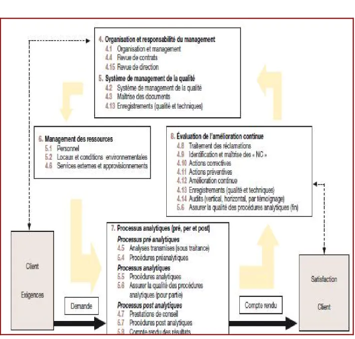 Figure 2:  Organisation  des différents chapitres de la norme ISO 15189:2012 [42] 