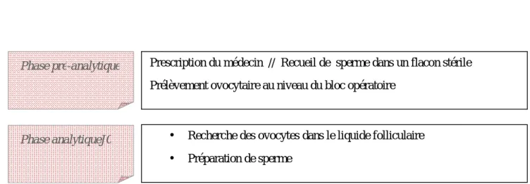 Figure 5: Identification des processus et sous-processus liés à l’activité analytique de la méthode 