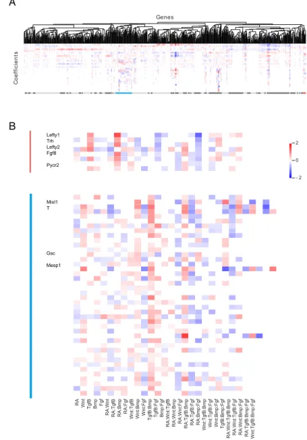 Figure 2-9: Clustering reveals genes sharing similar regulatory logic (A) Hi- Hi-erarchical clustering of top 2000 most variable genes